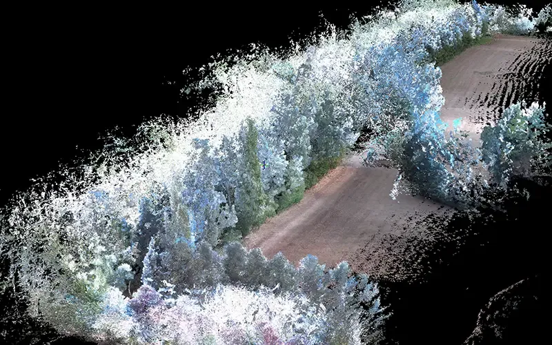 SLAM scan of a woodland road