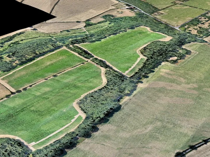 Bare-earth LiDAR model with trees removed to show ground levels