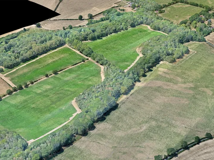 LiDAR survey of mixed farmland with trees still in the model